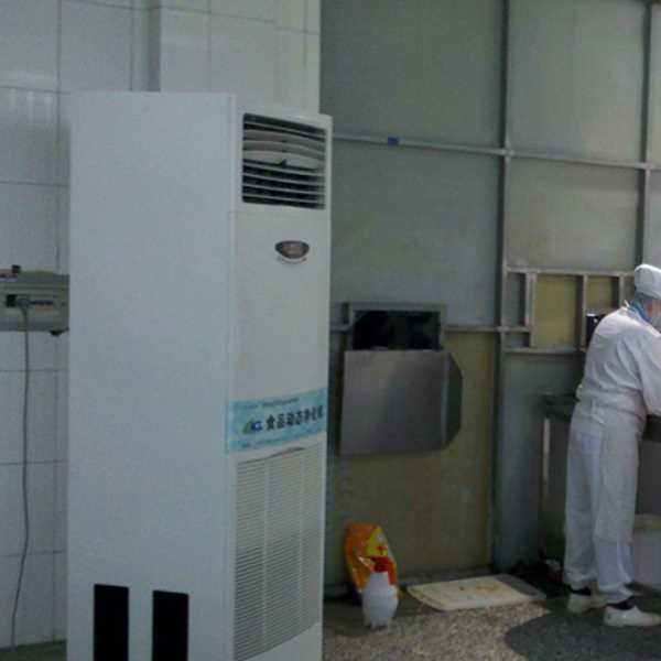 衡阳食品正负离子空气杀菌器